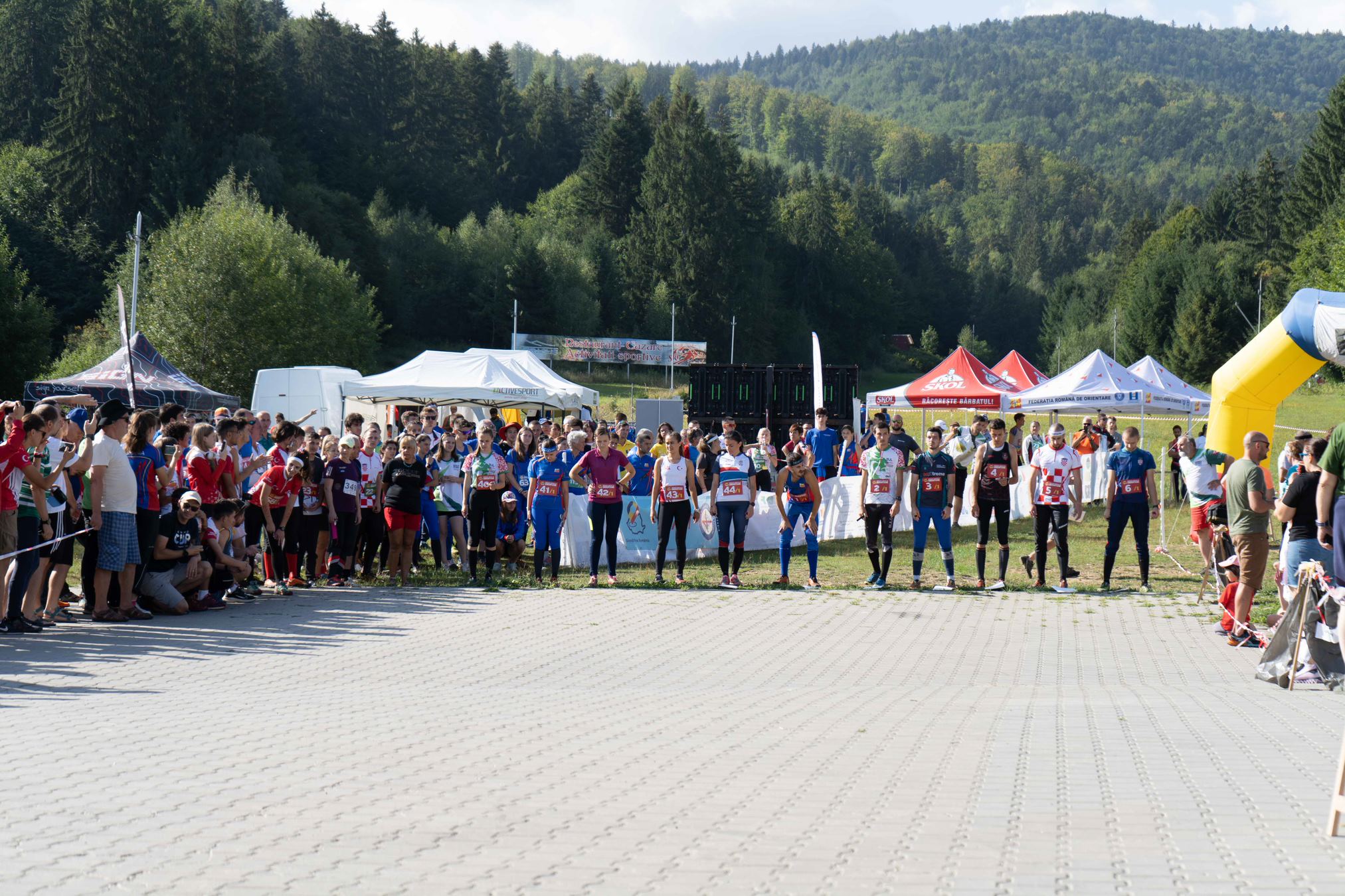 Relay and Purolite Cup